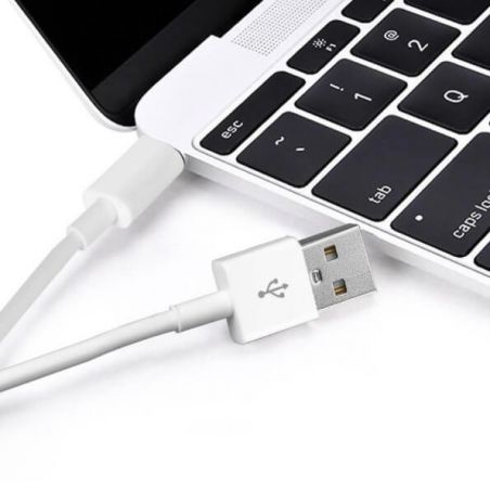 Achat Câble de charge USB-C vers USB - Blanc CHA00-149