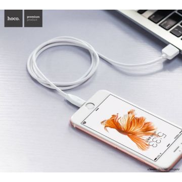 Hoco Rapid Charging Lightning Cable 1M