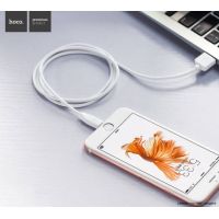 Achat Câble Lightning charge rapide Hoco 2M CHA00-294