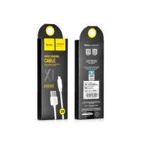 Achat Câble Lightning charge rapide Hoco 2M CHA00-294