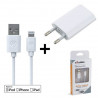 Pack blanc 2 en 1 MFI cable lightning + chargeur secteur agréé CE