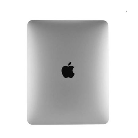 Back Cover iPad 1 Wifi