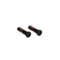 Kit of 2 bottom screws for iPhone 5