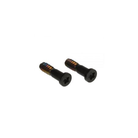 Kit of 2 bottom screws for iPhone 5