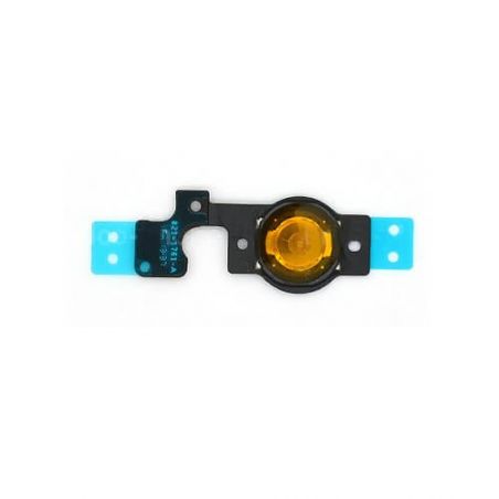 iPhone 5C Home-knop-module 5C