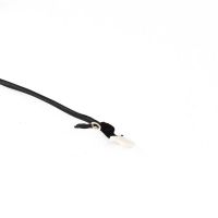 iSight Camera / UPS Cable - MacBook Pro 17" Mid 2006  MacBook Pro 17" spare parts Mid 2006 (A1151) - 2